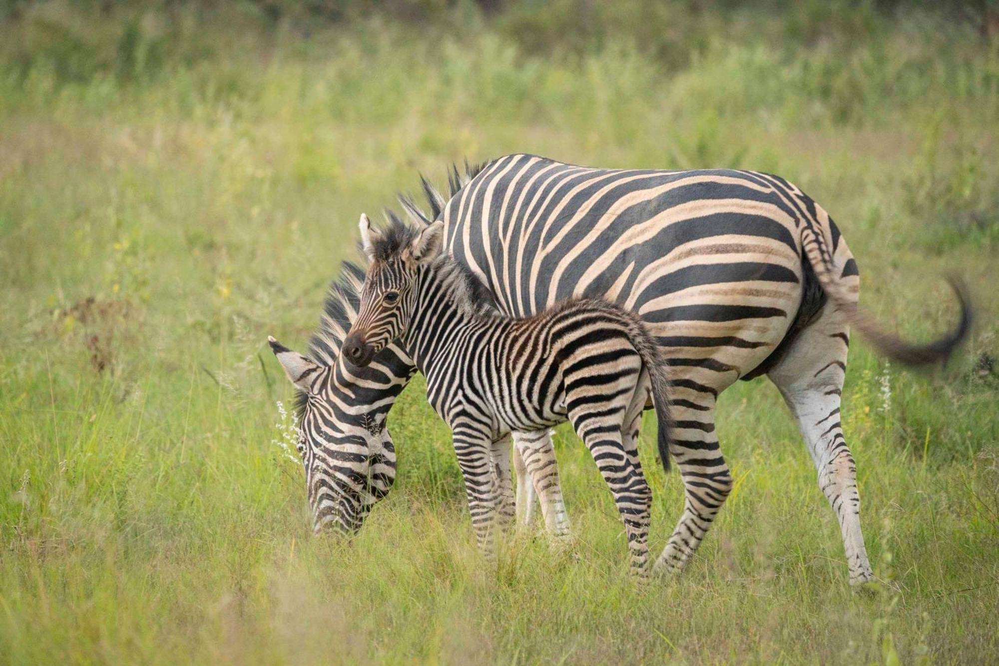 Ekuthuleni Lodge Странд Экстерьер фото